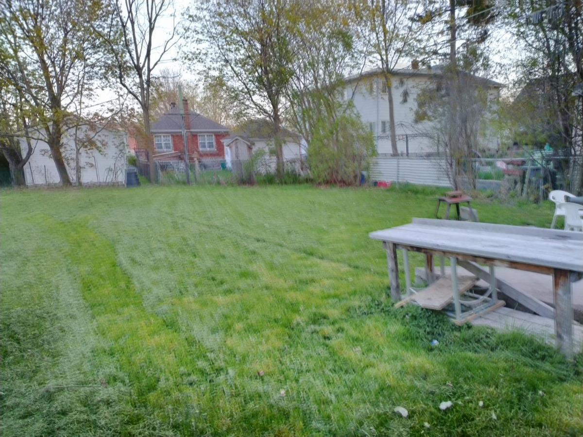 Cozy Downtown One Bedroom Free Parking Kingston Esterno foto