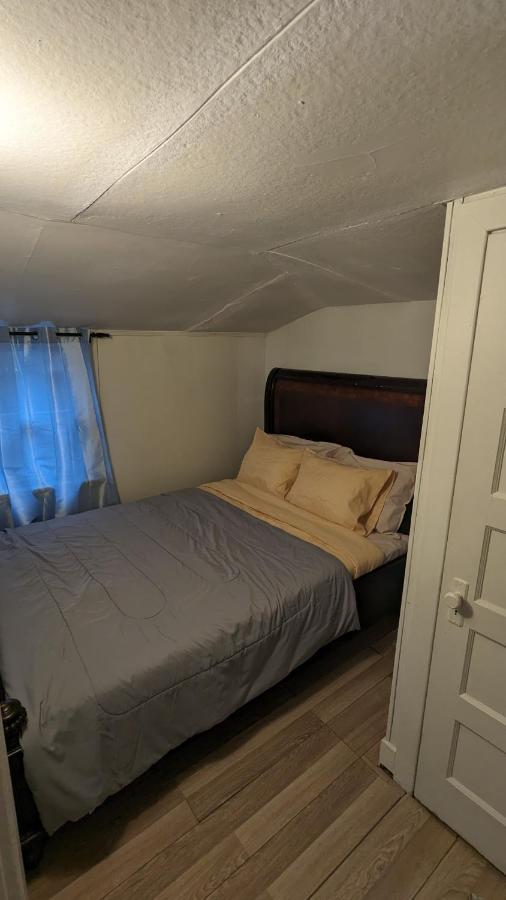Cozy Downtown One Bedroom Free Parking Kingston Esterno foto